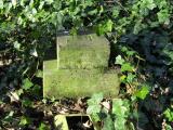 image of grave number 965920